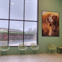 à LIBOURNE (33) CLINIQUE VETERINAIRE VET'INFINI - panneau en Alucobond 3 mm avec impression numérique.