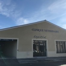 à LIBOURNE (33) - CLINIQUE VETERINAIRE ESPRIT'VET - lettrage en aluminium massif.