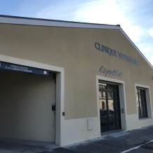 à LIBOURNE (33) - CLINIQUE VETERINAIRE ESPRIT'VET - lettrage en aluminium massif.