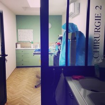 à LIBOURNE (33) - CLINIQUE VETERINAIRE ESPRIT'VET - lettrage adhésif traditionnel.