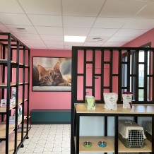 à LIBOURNE (33) CLINIQUE VETERINAIRE VET'INFINI - panneau en Alucobond 3 mm avec impression numérique.